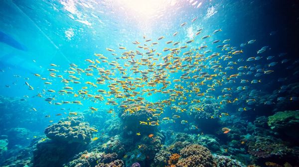Top équipements aquacoles essentiels pour un élevage rentable