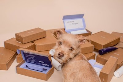 Quelles sont les raisons pour lesquelles il faut s'abonner à une box mensuelle ?